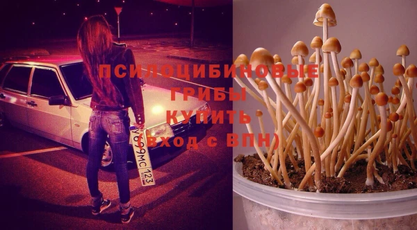 альфа пвп Надым