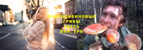 альфа пвп Надым